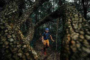 BIB: 
                            <button type="button" onclick="openModal(25672984)" class="btn btn-primary btn-sm float-right btn-popup" data-toggle="modal" data-target=".modal-high-quality">
                        <i class="fas fa-shopping-cart"></i> Add to Cart
                    </button>
                                            <button type="button" onclick="isThisMe(25672984, true)" class="btn btn-success btn-sm float-right btn-popup btn-isme hidden" data-toggle="tooltip" data-placement="bottom" title="นี่คือรูปของคุณใช่ไหม คลิกที่นี่เพื่อเอาเข้าอัลบั้ม">
                        <i class="fas fa-plus"></i> Add to album
                    </button>
                    <button type="button" onclick="isThisMe(25672984, false)" class="btn btn-warning btn-sm float-right btn-popup btn-isnotme hidden">
                        <i class="fas fa-ban"></i> Remove from album
                    </button>